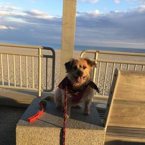 Meet your Posher, Jacquelyn